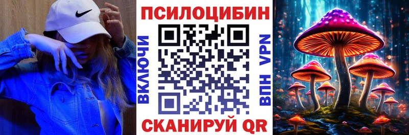 KRAKEN ссылка  Трёхгорный  Псилоцибиновые грибы Cubensis 